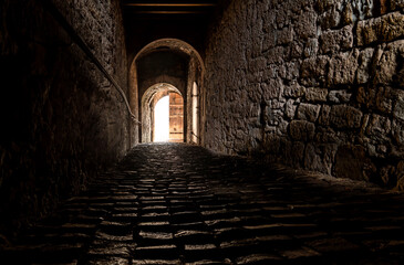Tunnel passage in the historic castle of Tübingen, Germany. Dark walkway with cobblestone floor leading to an open wooden door. Sunlight flashing into the mystic and scary gateway with brick walls. - obrazy, fototapety, plakaty