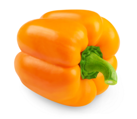 Pepper isolated. Orange bell pepper on a transparent background.