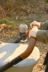 Hands pushing stroller with coffee mug, Germany