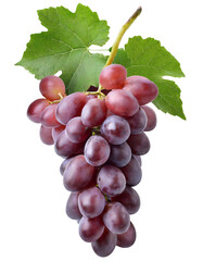 Purple grapes isolated on white background, clipping path
