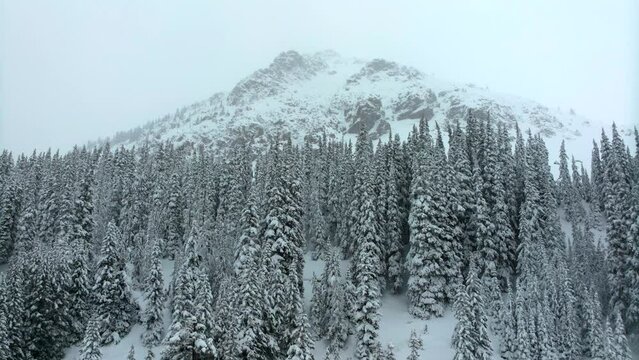 Deep powder snow cinematic aerial Colorado Loveland Ski Resort Eisenhower Tunnel Coon Hill backcountry i70 heavy winter spring snow Continential Divide Rocky Mountains snow cover pine trees upward
