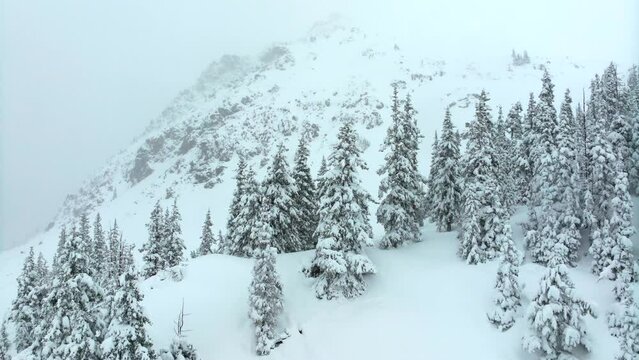 Deep powder trees snowing cinematic aerial Colorado Loveland Ski Resort Eisenhower Tunnel Coon Hill backcountry i70 heavy winter spring snow Continential Divide Rocky Mountains covered pine circling