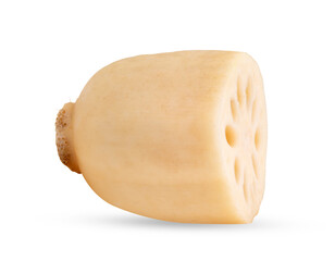 Lotus roots isolated on transparent png