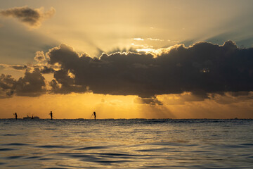 Paddle boarding during sunset