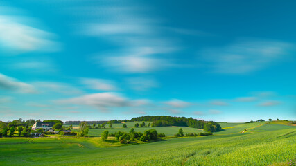Fototapeta premium Tranquil Rural Meadow Landscape with Green Grass and Trees Under Blue Sky