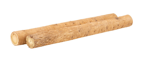 burdock roots or kobo isolated on transparent png