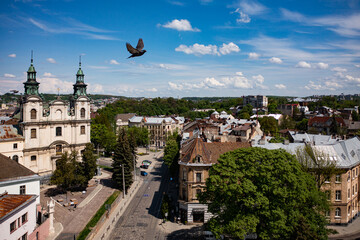 Fototapeta na wymiar The Roman Catholic church of St. Mary Magdalene (House of organ and chamber music) in Lviv, Ukraine. View from drone