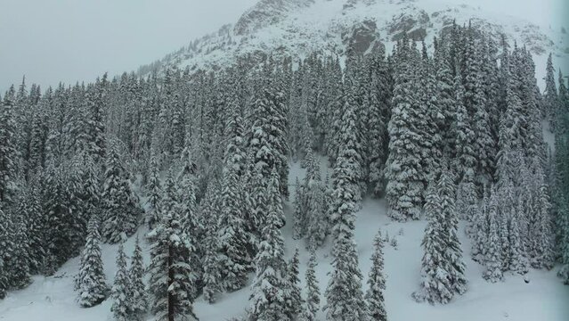 Cinematic aerial Colorado Deep powder snowing Loveland Ski Resort Eisenhower Tunnel Coon Hill backcountry i70 heavy winter spring snow Continential Divide Rocky Mountains covered trees slow pan up