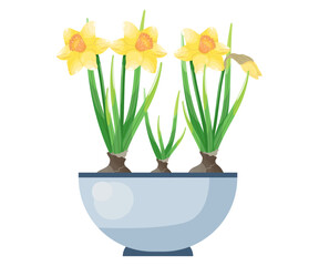 daffodils flowers in vase isolated icon vector illustration design