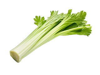 celery isolated