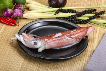 Raw fresh squid for cooking