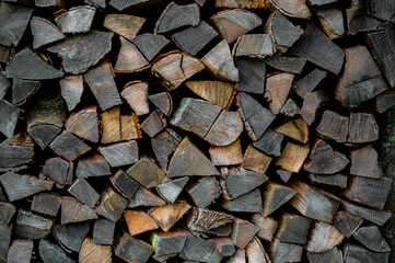 Wooden brown background. Background made of logs, tree in section.