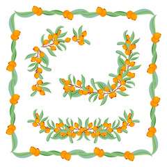 Sea-buckthorn. A set of frames and corners. Design elements