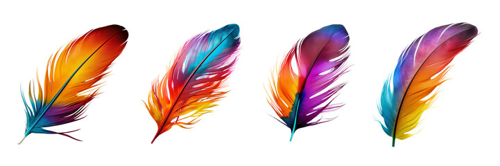 Set of vibrant Colorful single bird feathers isolated on a transparent background. PNG 