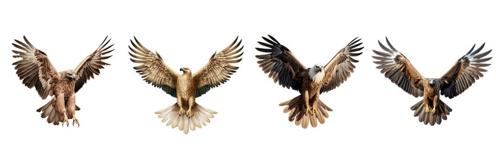 A set of single Saudi Arabian eagles is flying isolated on a transparent background in the top view. PNG