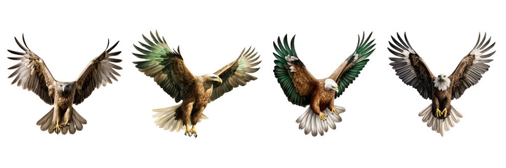A set of single Saudi Arabian Eagles is flying isolated on a transparent background in the top view. PNG