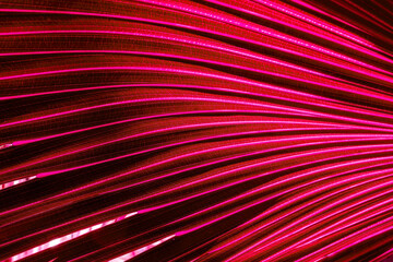 colorful abstract futuristic background with bright lines and rows for design and concetp , natural leaf texture in various colors