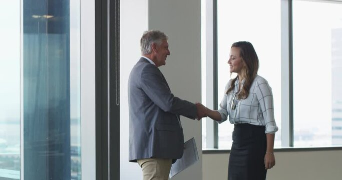 Business people, CEO or handshake in meeting for portfolio reports or contract agreement in company. Paperwork, teamwork or woman in office planning, speaking or talking to a senior manager for b2b