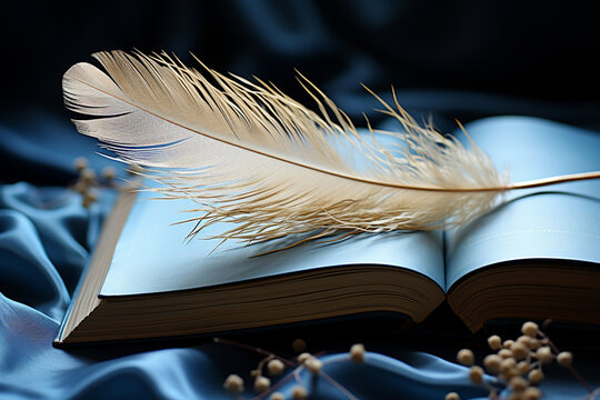 Minimalist image of an open book with a delicate feather as a bookmark.