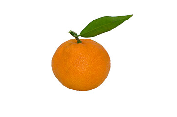 A Kozan King mandarin, a small-sized and seeded variety of mandarin with a distinctive strong aroma and sweetness.