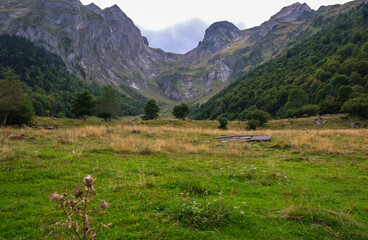 Fototapeta na wymiar Valle de Arán, bosques, ríos, cascadas, montañas 