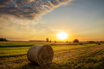 Farm fields with bales of hay in the dawn light on an early summer morning.