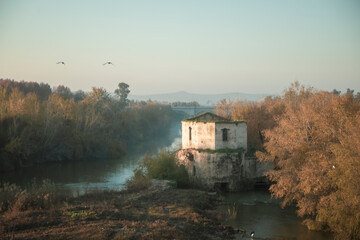 Fototapeta na wymiar Sotos de la Albolafia on the Guadalquivir River at dawn in Córdoba, Andalusia, Spain with the Molino de Don Tello in the center and soft colors