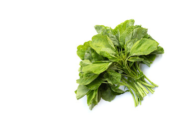 Green spinach on white background.