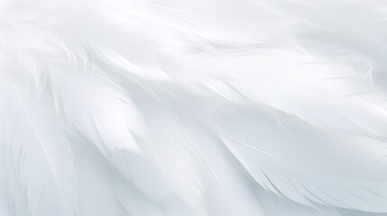 Obraz premium Gentle white feathers creating a tranquil and soft textured background image.