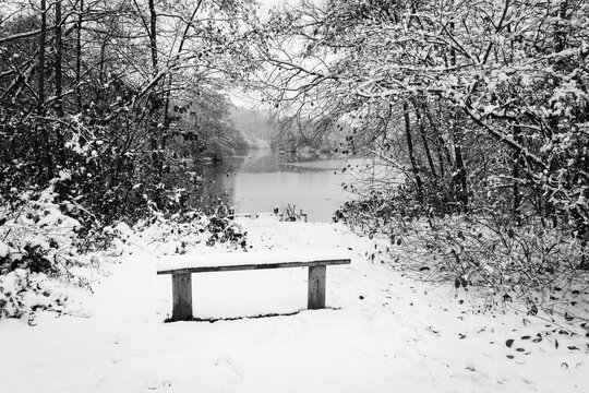 A snow covered park bench overlooking a lake on a misty winter morning.