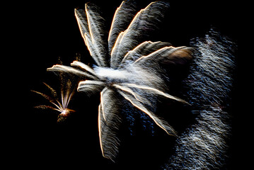 Fireworks lighting up the night sky. Pyrotechnics, abstract