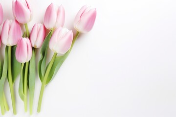 Obraz na płótnie Canvas beautiful tulips white and pink on white background, flat lay and copy space - generative ai