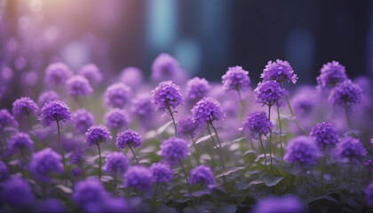 A backdrop of romantic violet flowers