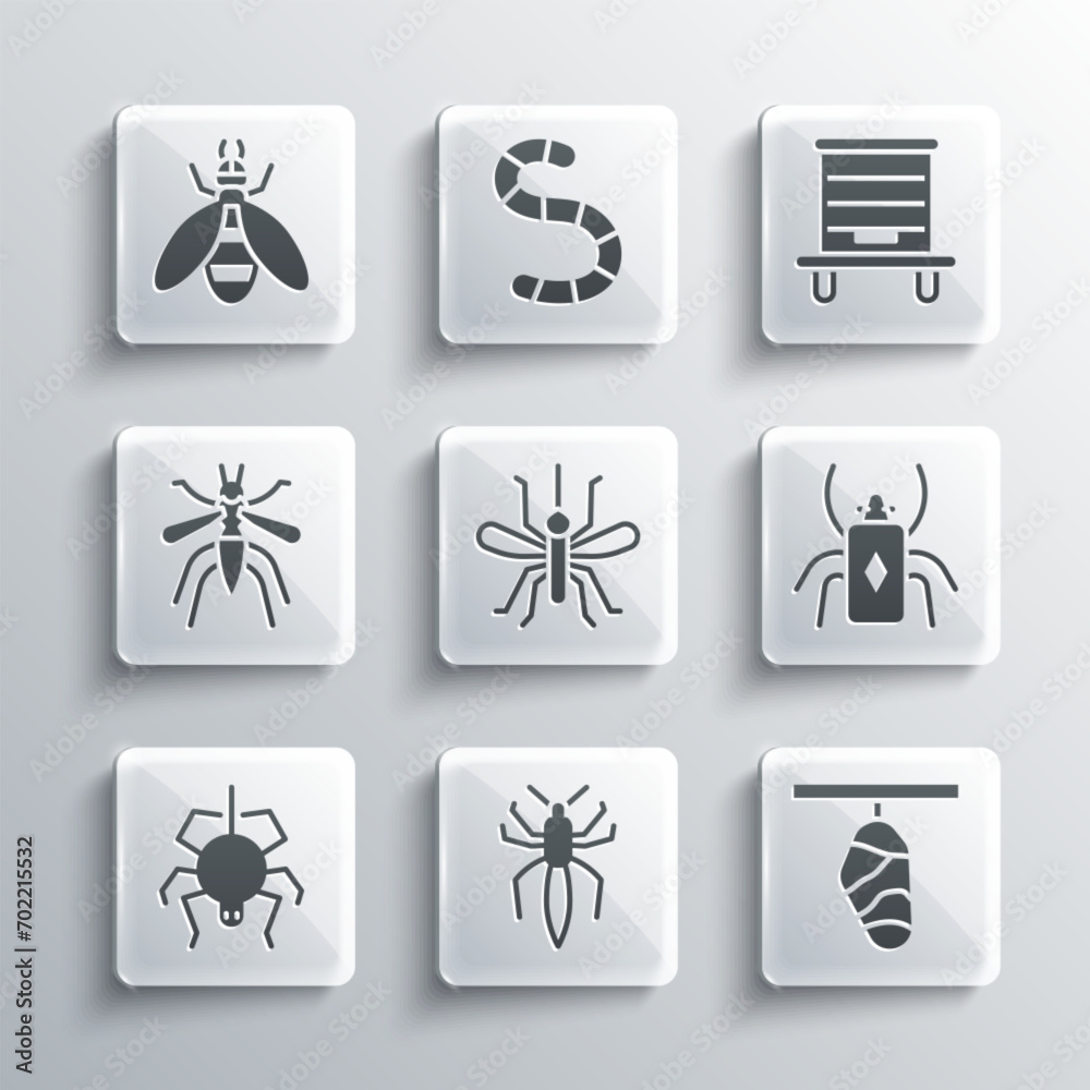 Wall mural set spider, butterfly cocoon, beetle bug, mosquito, and hive for bees icon. vector