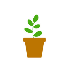 Potted Plant Vector Illustration