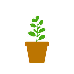 Potted Plant Vector Illustration