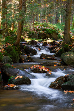 Bach im Herbstwald 