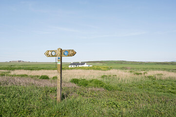 Wales Coastal path directional wooden sign.  Location is Angelsey. Weather is bright and sunny