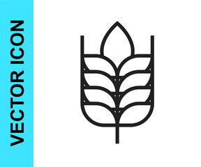 Black line Cereals set with rice, wheat, corn, oats, rye, barley icon isolated on white background. Ears of wheat bread symbols.  Vector