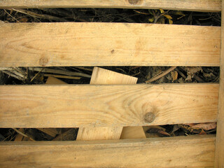 Legno