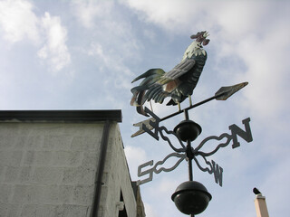 Gallo