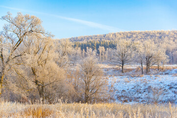 Take an enchanting journey through a snow-covered field at sunrise. Enjoy the beauty of tall trees...