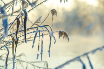Witness the stunning beauty of the frozen river at sunrise. Enjoy the winter spectacle of nature...