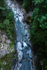 top view of wild river in green surrounding in the bavarian alps