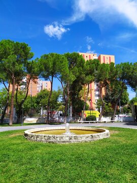 Several gorgeous views from Finca Liana's Park situated in M&oacute;stoles (Madrid).
