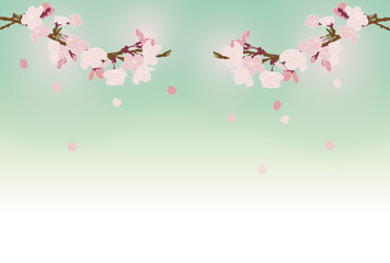 桜吹雪の背景素材