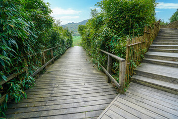 There are two birds on the wooden walkway. There are bamboos on both sides. Jinfo Mountain karst...