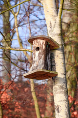 Nistkasten am Baum im Herbst