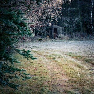 Kleines Haus am Waldrand bei Frost