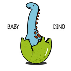 a small dinosaur hatched from an egg. baby cartoon brontosaurus isolated on white for children's illustrations, print on T-shirt, poster in children's room, funny baby character, Stickers © Olesia